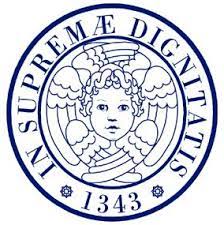 University of Pisa